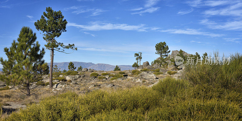 Serra da Gardunha自然公园，Louriçal do Campo，区Castelo Branco，葡萄牙